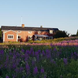 The Friendly Moose, hotel v destinácii Övertorneå