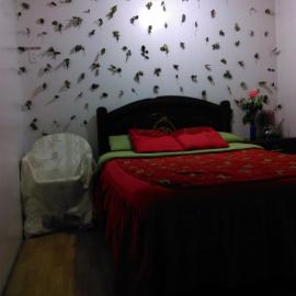 Escocie - Quito, hotel v destinácii Quito