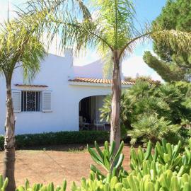 Villa Le Palme, hotel a Rosa Marina