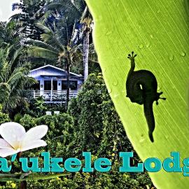 Ma'ukele Lodge, hotel a Pahoa