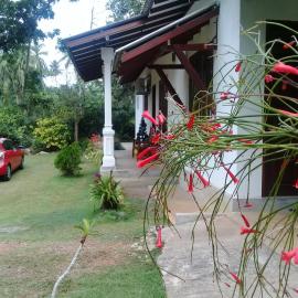 NiYuNi Villas