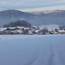 Gasthaus Zur Waldesruh, hotell sihtkohas Waffenbrunn