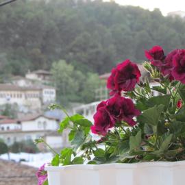 Apartment Koka, hotel en Berat