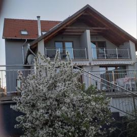 Villa Rigo Panzió, hotel u gradu 'Verpelét'