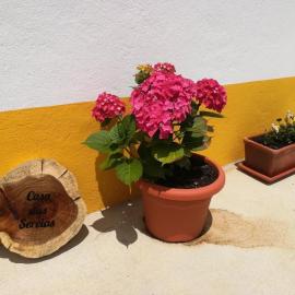 Casa das Sereias, hotel in Rabo de Peixe