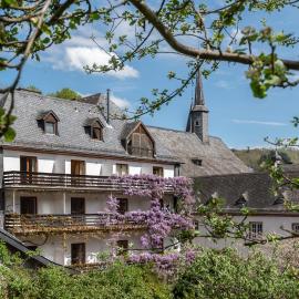Hotel Heintz, готель у місті Віанден