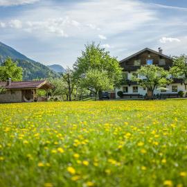 Urlaub am Bauernhof Windhaghof, hotel a Kramsach