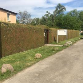 Haus Springpfuhl EG, готель у Берліні