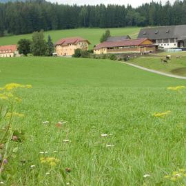 Ferienhaus Wohleser, hotel a Mariahof