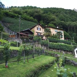 Casa immersa nel vigneto, hotel em Roveredo