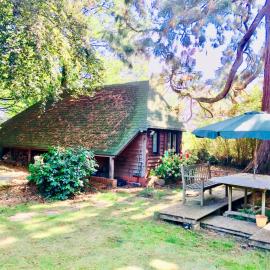 Woodland Chalet at Otters Green