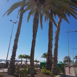 Bungalows Bahamas beside the park and 300m to the beach, hotel in Puerto Rico de Gran Canaria