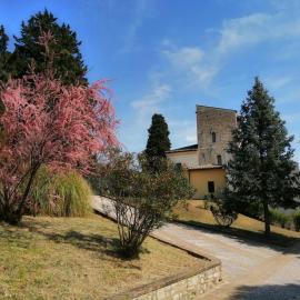 Casa per Ferie Ulivo d'Assisi, hotel em Assisi