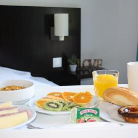 Flag Hotel Santarém, hotel a Pernes