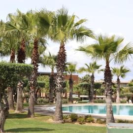 Salgados Beach&Golf - Praia dos Salgados