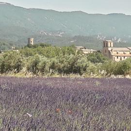 les 3 saisons, Hotel in Cucuron