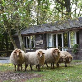Buitenuit, hotel em Boxtel