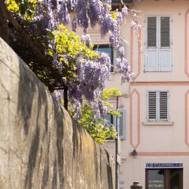 Viesnīca B&B Le Cannelle FIESOLE pilsētā Fjezole