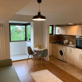 Floreasca Apartment Bach