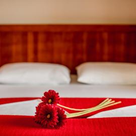 Apartmani Laban