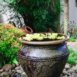 Bali Biasa Guesthouse, hotel a Piet Retief