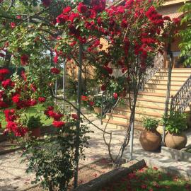 Casa rural Las Erillas