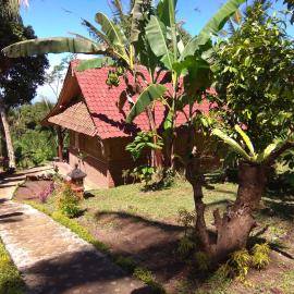 Bali mountain forest cabin، فندق في Penebel
