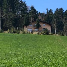 에그에 위치한 호텔 Ferienhaus am Waldrand von Egg Bregenzer Wald