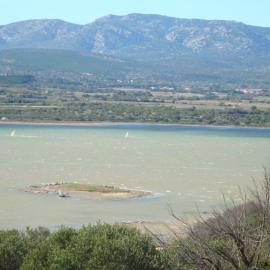 Leucate,cadre arboré,ombragé,sous les cyprès