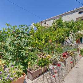 Apartment Carmen, hotel in Veli Lošinj