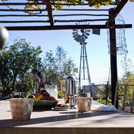 Olive Grove House