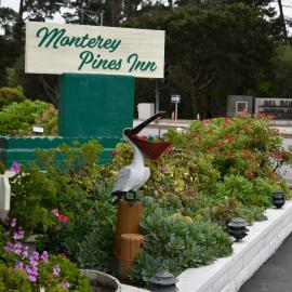 Monterey Pines Inn, отель в Монтерее