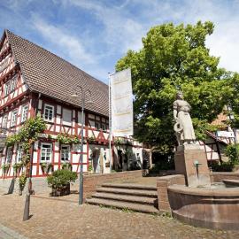 Hotel Hirsch, Hotel in Leonberg