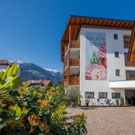 Residence Apartment Nelkenstein