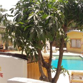 B & B Teranga Warang, hotell i Ouoran