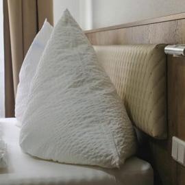 LOOK Hotel & Rooms，克賴爾斯海姆的飯店