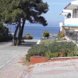 Dafni's Home 50 meters from the beach