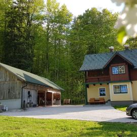 Ferienhaus Schlossblick, Hotel in Landl