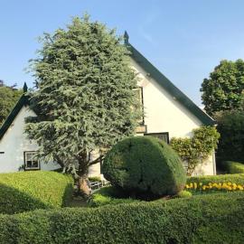 Vlasoven loft