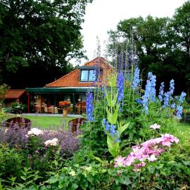 B&B Kamperfoelie