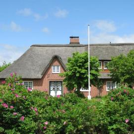 Ferienwohnung Lotshüs, Hotel in Tating