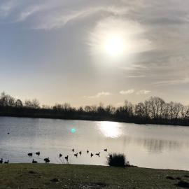 Vakantiewoning ‘t Reigersnest، فندق في Zonhoven