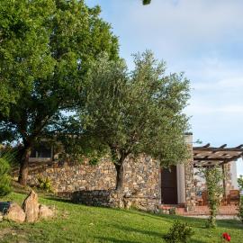 Villa Serra d'Elci, hotel in Ascea