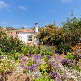 El Sitio La Rosa, hotel in Villa de Mazo