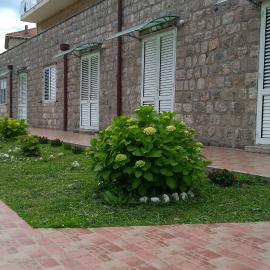 Guest House Eight Roses