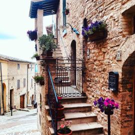 Domus Flora Guest House, hotel u gradu 'Spello'