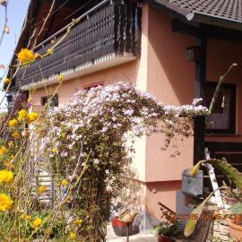 BellaIris, hotel in Igersheim