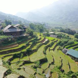 Indigo Snail Boutique Hmong Homestay
