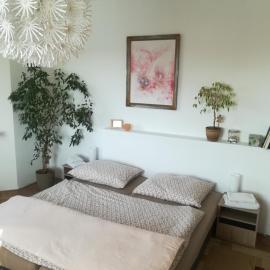Penzion Flóra- útulný byt s terasou, hotel a Žatec