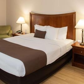 Best Western I-5 Inn & Suites, hotel en Lodi